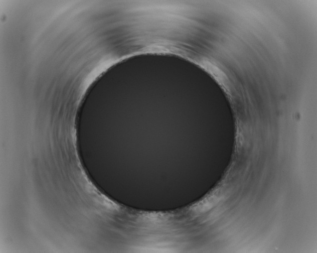 X0000089350950200707061021