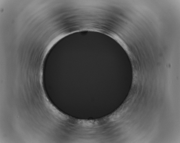 X0000089350955200707061021