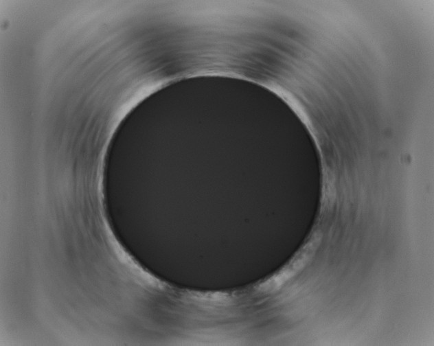 X0000089350957200707061021
