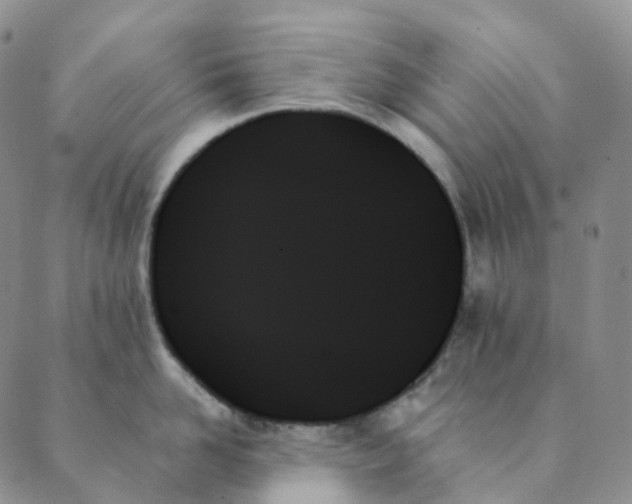 X0000089350958200707061021