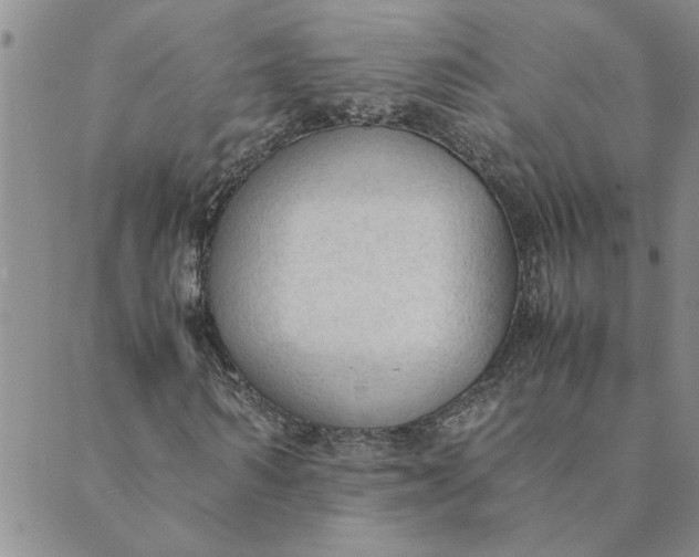 X0000089350962200707061020