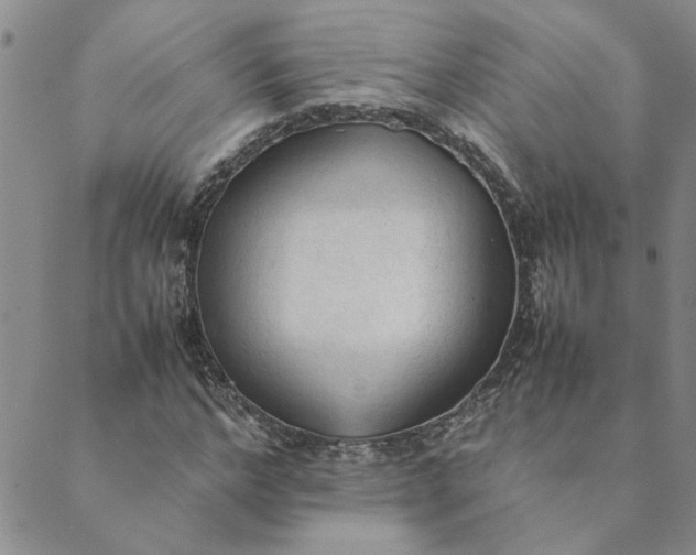 X0000089350968200707061020