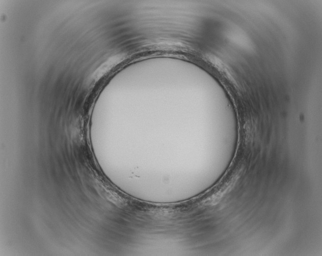 X0000089350970200707061020