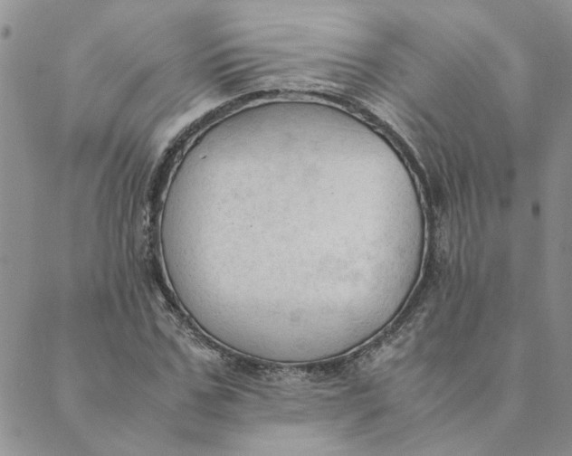 X0000089350971200707061020