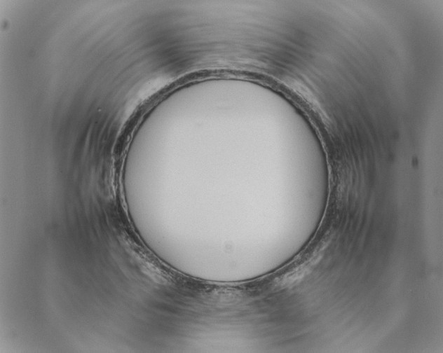 X0000089350974200707061020