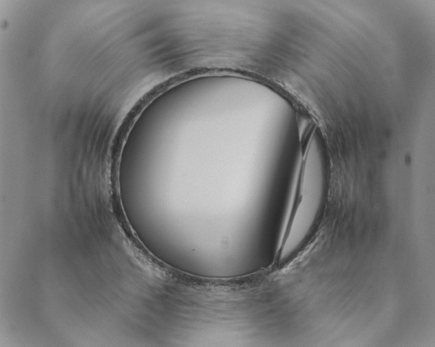 X0000089350976200707061020