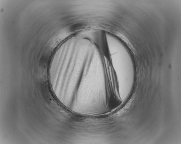 X0000089350977200707061020