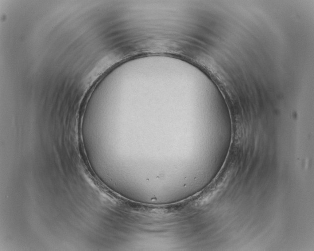 X0000089350986200707061020