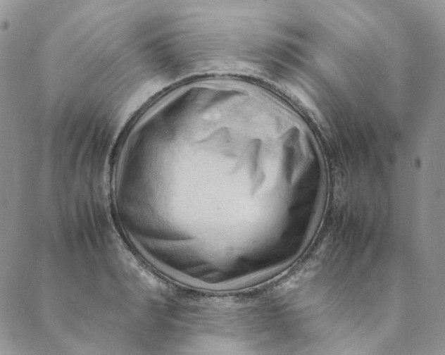 X0000089350990200707061020