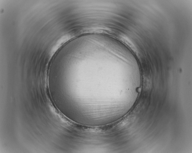 X0000089350994200707061020