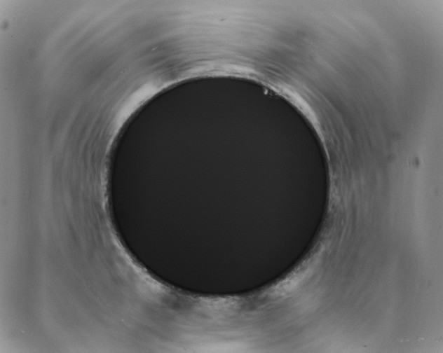 X0000089350997200707061020