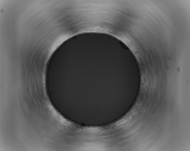 X0000089350998200707061020