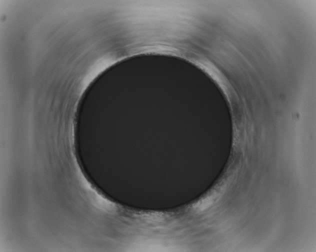 X0000089350999200707061020