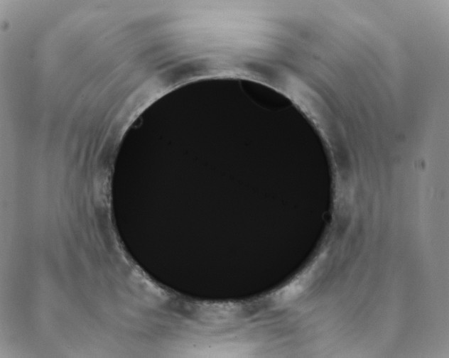 X0000089351001200707061020