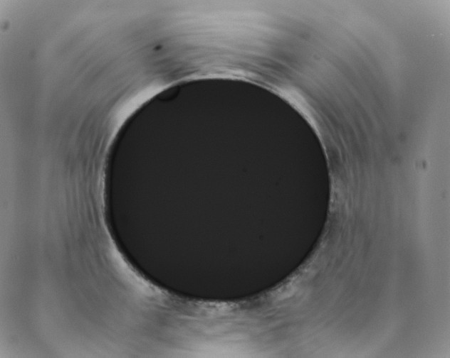 X0000089351003200707061020