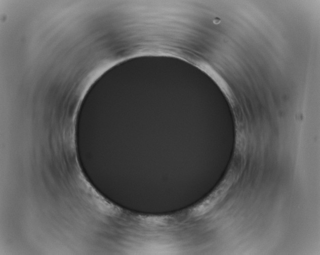 X0000089351004200707061020