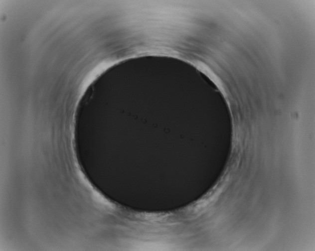 X0000089351005200707061020