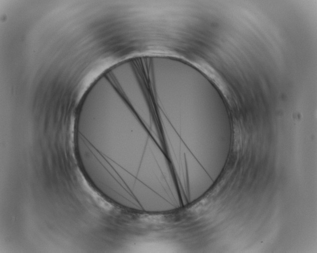 X0000089351006200707061020