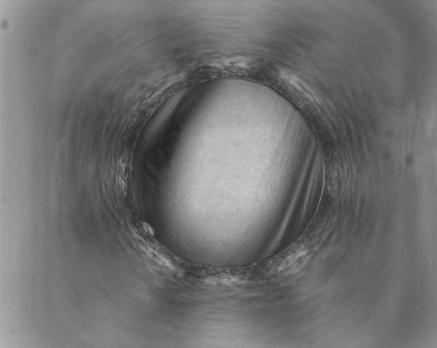 X0000089351010200707061019