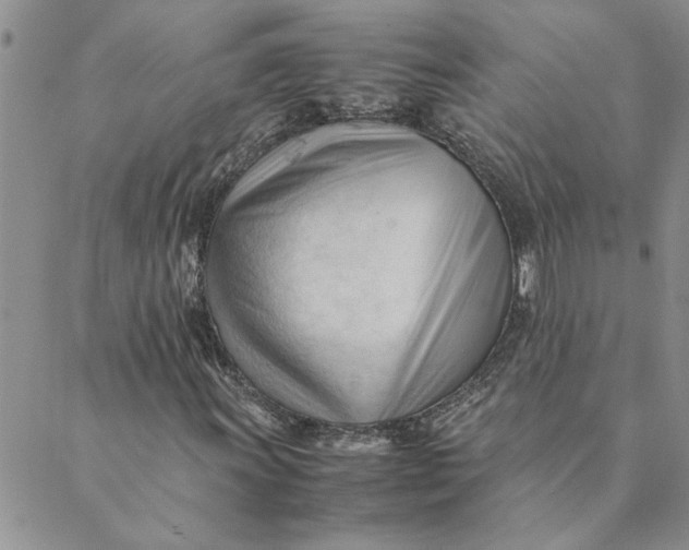 X0000089351011200707061019