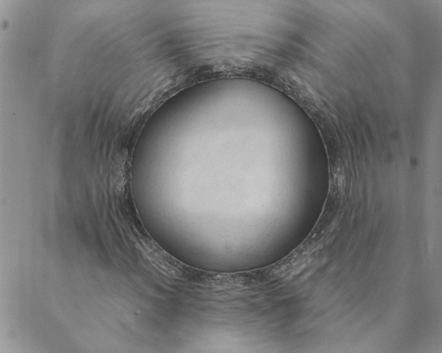 X0000089351012200707061019