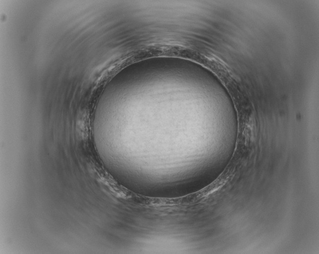 X0000089351014200707061019