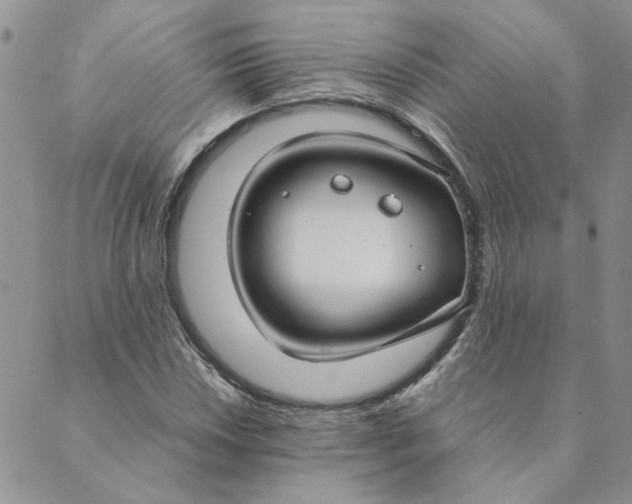 X0000089351018200707061019
