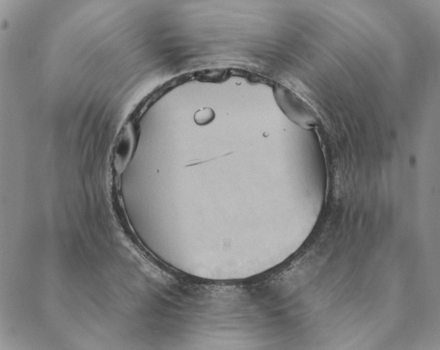 X0000089351024200707061019