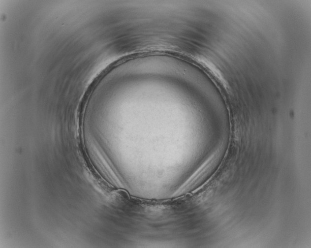X0000089351031200707061019