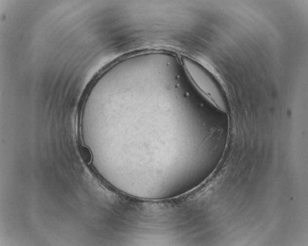X0000089351032200707061019