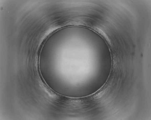 X0000089351035200707061019