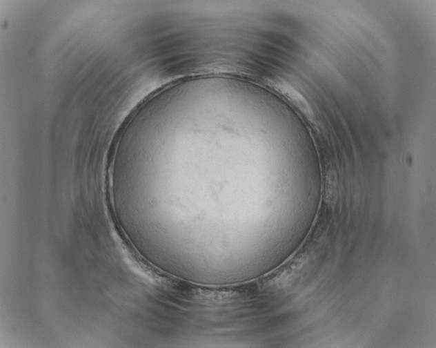 X0000089351039200707061019