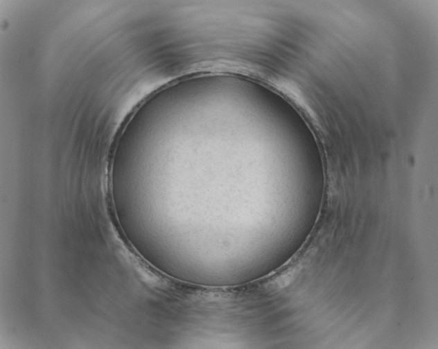 X0000089351040200707061019