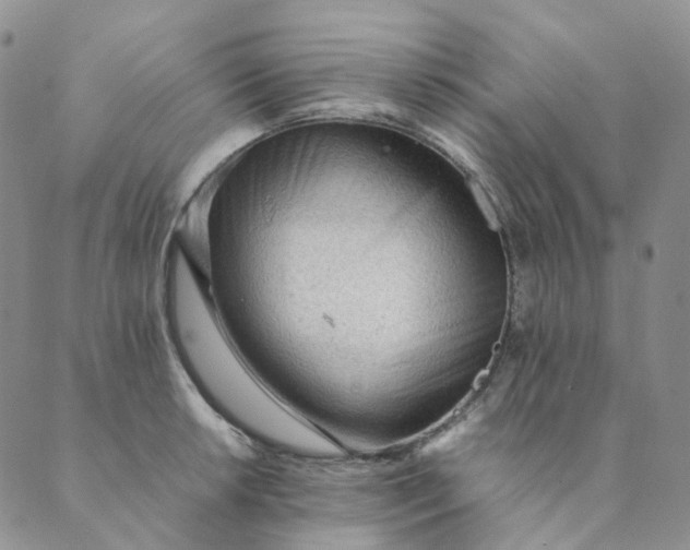 X0000089351042200707061019
