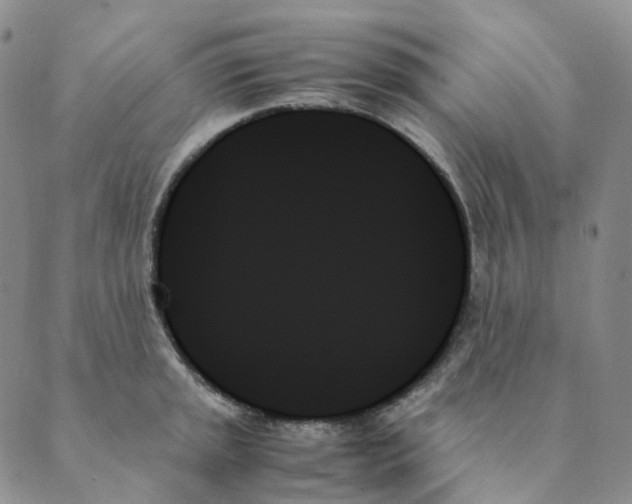 X0000089351045200707061019