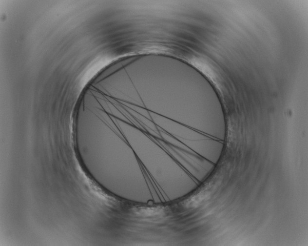X0000089351047200707061019