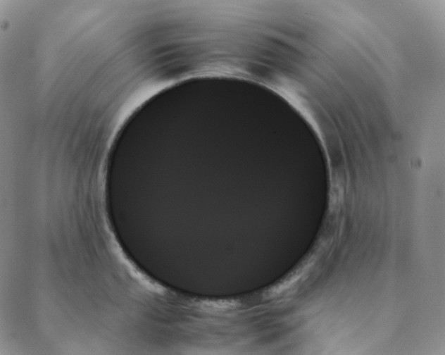 X0000089351053200707061020