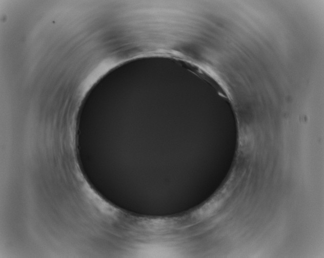 X0000089351054200707061020