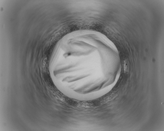 X0000089351059200707061019