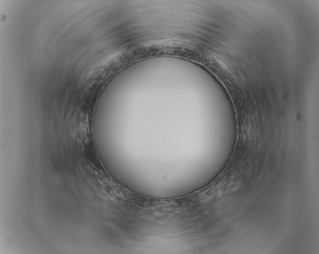 X0000089351062200707061019