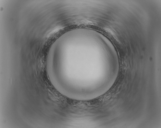 X0000089351063200707061019