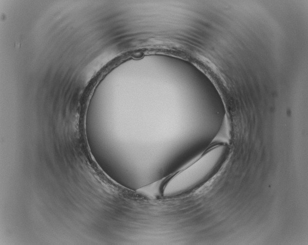 X0000089351066200707061019