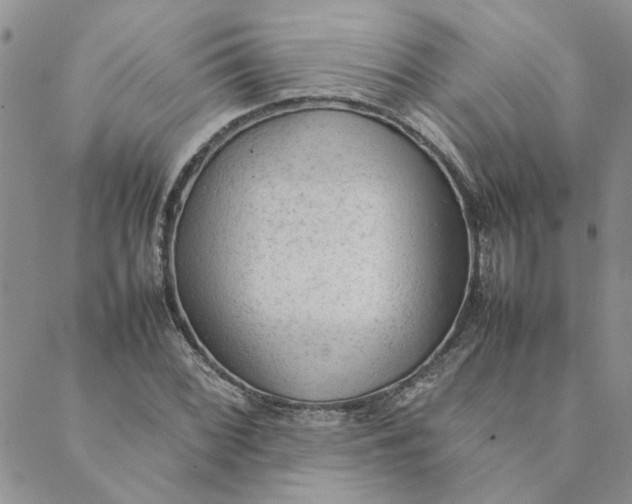 X0000089351068200707061019