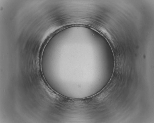 X0000089351072200707061019
