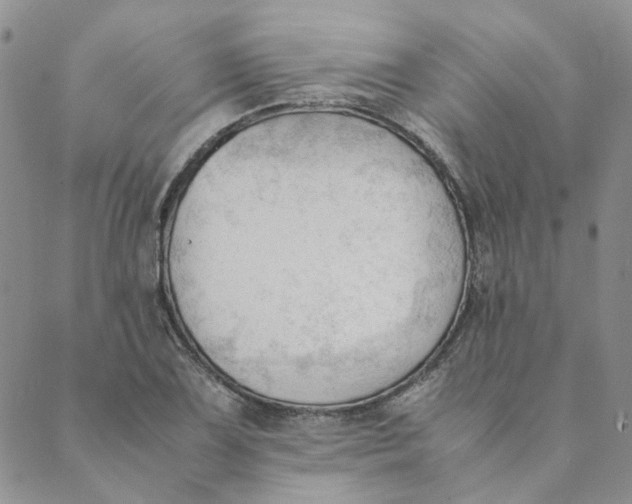 X0000089351075200707061019