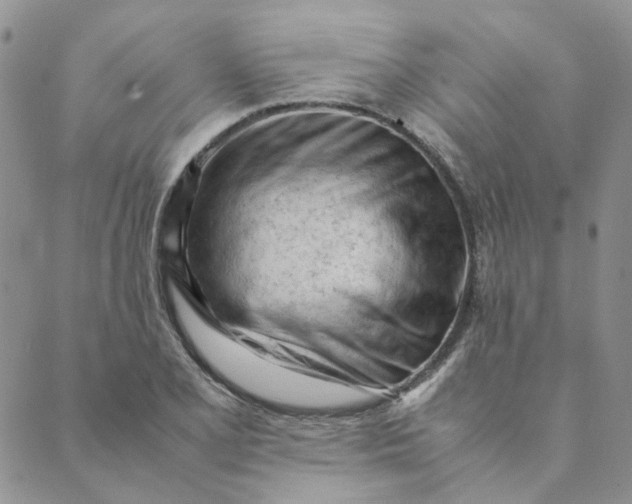 X0000089351077200707061019