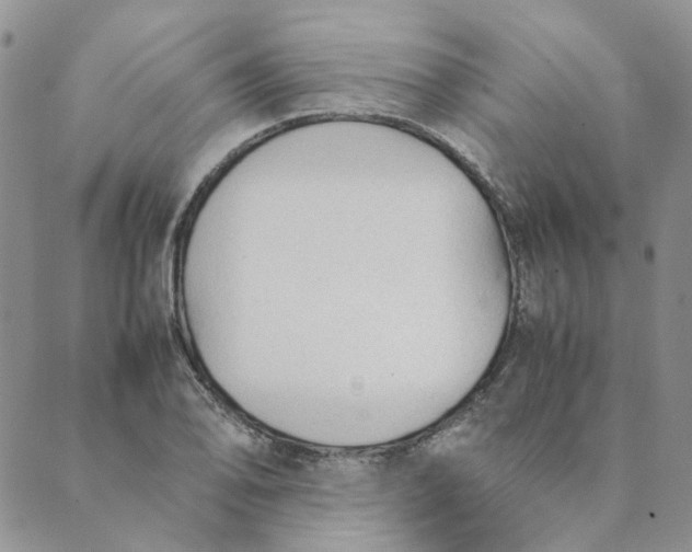 X0000089351078200707061019