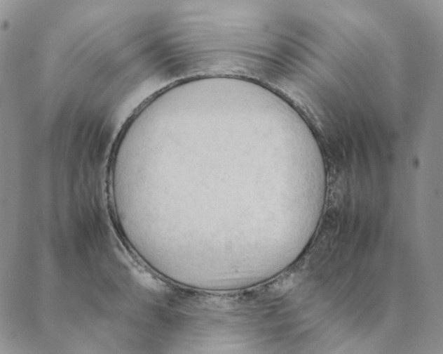 X0000089351086200707061018