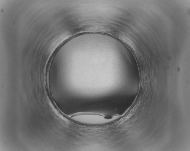 X0000089351087200707061018