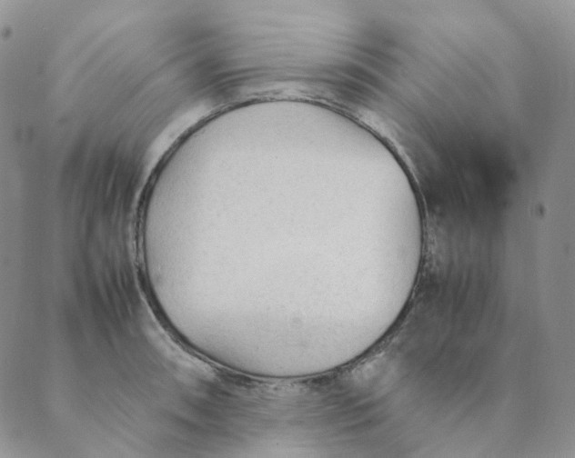 X0000089351090200707061018